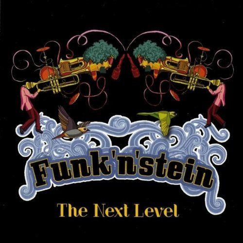lataa albumi Funk'n'stein - The Next Level