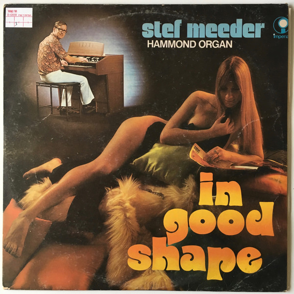 descargar álbum Stef Meeder - In Good Shape