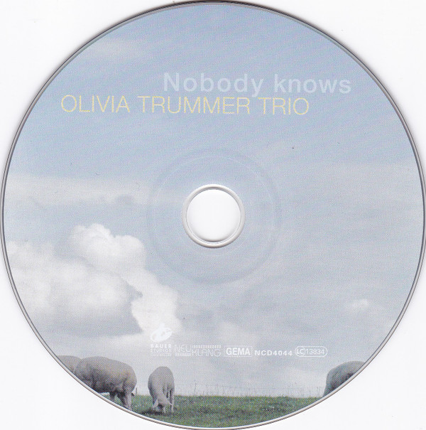 télécharger l'album Olivia Trummer Trio - Nobody Knows