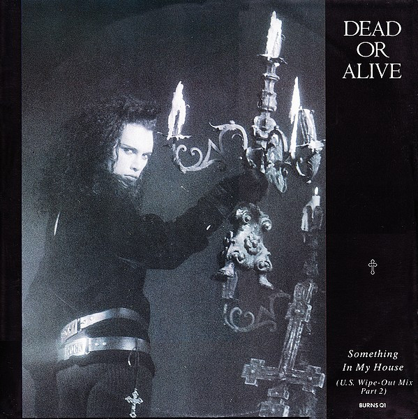 Dead Or Alive – Something In My House (1986, Vinyl) - Discogs