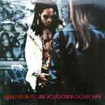 Lenny Kravitz - Are You Gonna Go My Way | Releases | Discogs