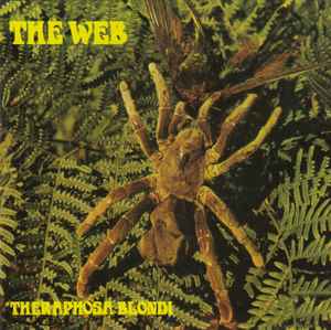 Theraphosa Blondi - The Web