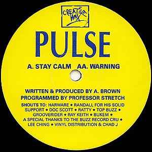 DJ Pulse - Stay Calm / Warning album cover