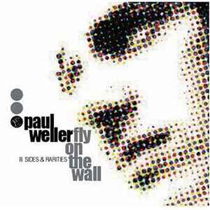 Paul Weller - Fly On The Wall (B Sides & Rarities) album cover