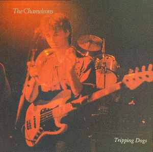 The Chameleons - Tripping Dogs album cover