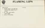 Cover of Flaming Lips, 1991-09-30, Cassette