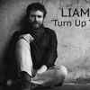 Liam Finn - Turn Up The Birds