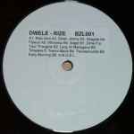 Dwele – Rize (2005, Vinyl) - Discogs