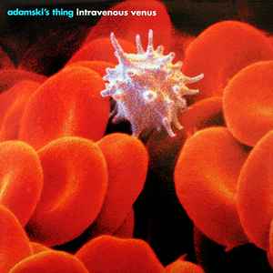 Adamski's Thing - Intravenous Venus album cover