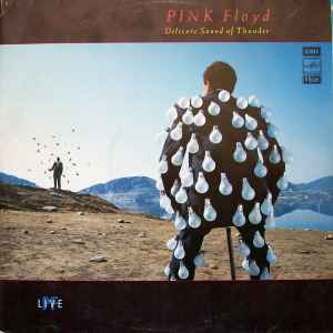 Delicate Sound Of Thunder - Pink Floyd