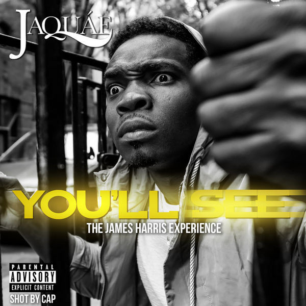 descargar álbum Jaquae - Youll See The James Harris Experience