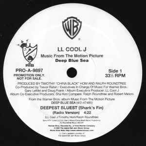 LL Cool J – Deepest Bluest (Shark's Fin) (1999, Vinyl) - Discogs