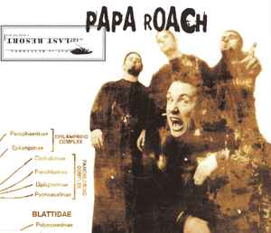 Papa Roach - Last Resort album cover
