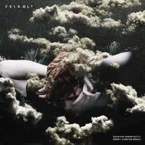 Crywolf - Quantum Immortality (Ferry Corsten Remix) album cover