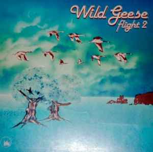 Wild Geese – In Full Flight (1985, Vinyl) - Discogs