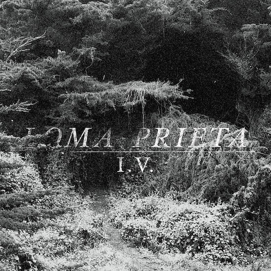 I.V. by Loma Prieta