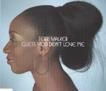 Terri Walker – Guess You Didn't Love Me (2003, Vinyl) - Discogs