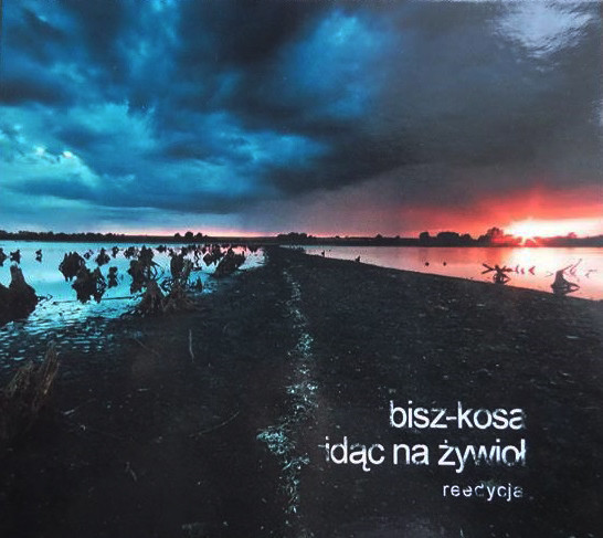 descargar álbum Bisz Kosa - Idąc Na Żywioł