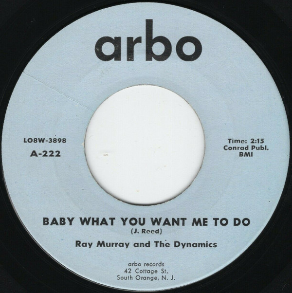 descargar álbum Ray Murray And The Dynamics - Baby What You Want Me to Do With All My Love