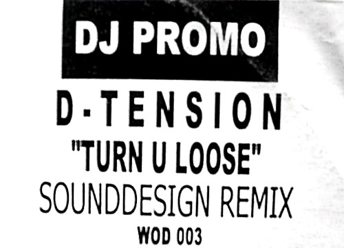 baixar álbum DTension - Turn U Loose