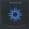 Sentient (5) - Live At The King Arthur Glastonbury