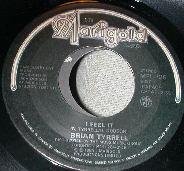 Album herunterladen Brian Tyrrell - I Feel It