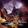 Steve Roach | Serena Gabriel - Temple Of The Melting Dawn