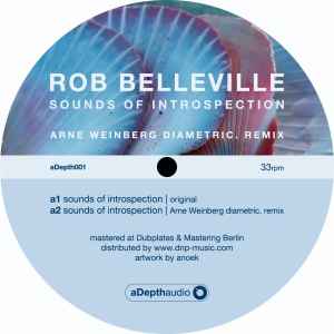 Sounds Of Introspection - Rob Belleville