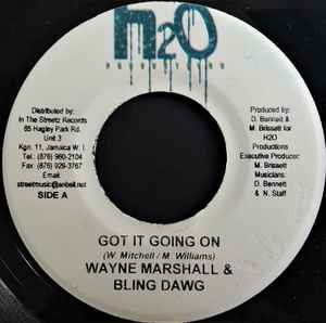 Wayne Marshall & Bling Dawg – Got It Going On (2004, Vinyl) - Discogs