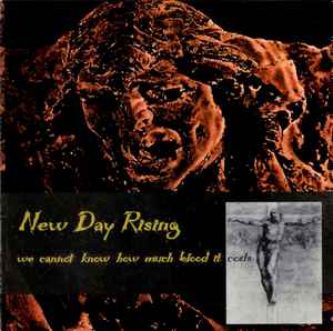 New Day Rising - We Cannot Know How Much Blood It Costs