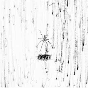 コドモドラゴン – Pest (2020, CD) - Discogs