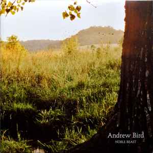 Andrew Bird - Noble Beast