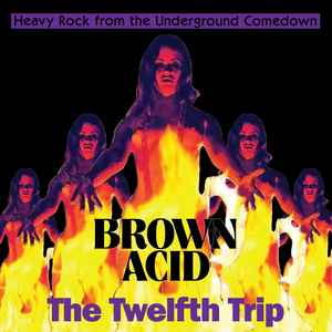 Brown Acid: The Twelfth Trip (Heavy Rock From The Underground Comedown) - Various