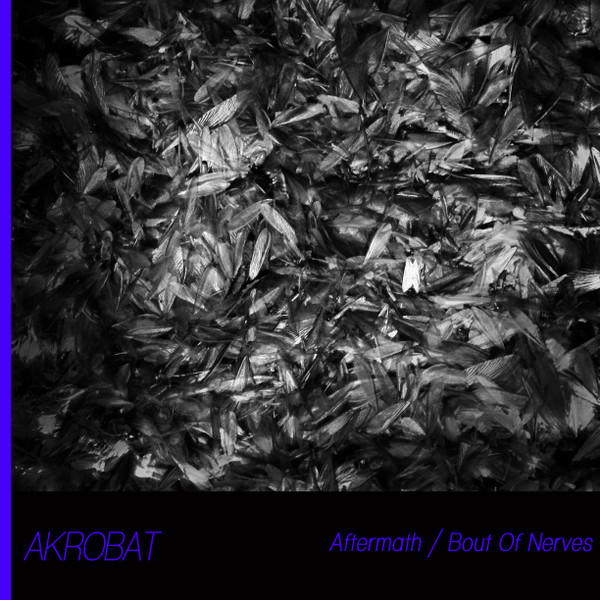 lataa albumi Download Akrobat - Aftermath Bout Of Nerves album