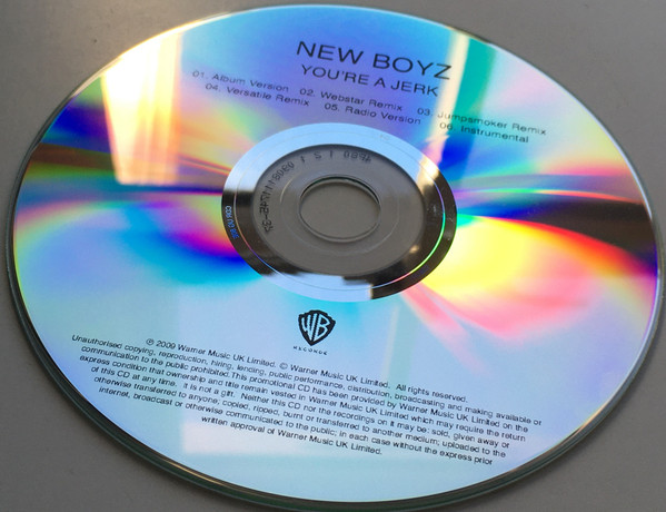 descargar álbum New Boyz - Youre A Jerk