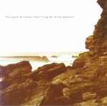 Cover of Surfing On Sine Waves, 2006, CD