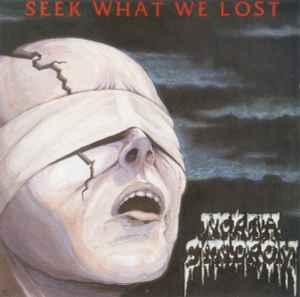 North Syndrom - Seek What We Lost album cover