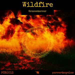 Grooveterror - Wildfire album cover