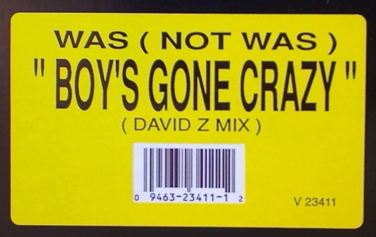 descargar álbum Was (Not Was) - Boys Gone Crazy