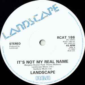 It's Not My Real Name (Vinyl, 12
