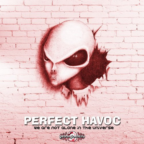descargar álbum Perfect Havoc - We Are Not Alone In The Universe