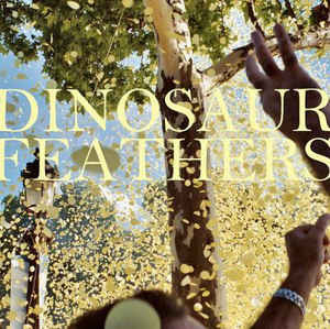 lataa albumi Dinosaur Feathers - Whistle Tips