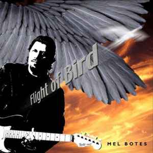 Mel Botes - Flight Of Bird album cover