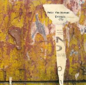 Entropic City - Peter Van Hoesen