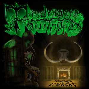 Mandragora Thuringia - Mandragora Erwacht album cover