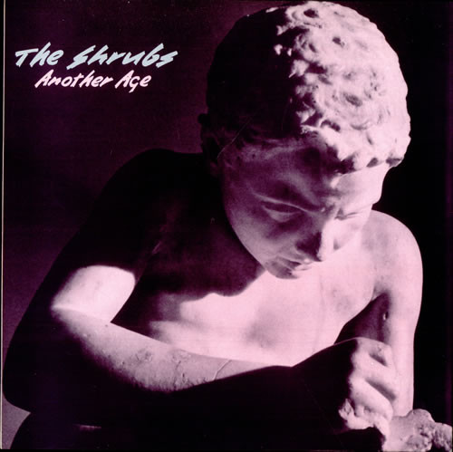 télécharger l'album The Shrubs - Another Age