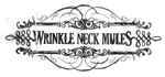 descargar álbum Wrinkle Neck Mules - Dont Just Stand There Live At The Southern