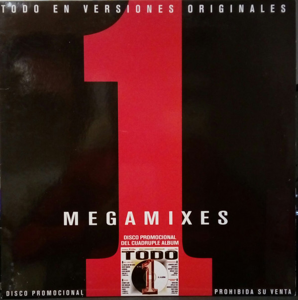 Album herunterladen Various - Todo En 1 Megamixes