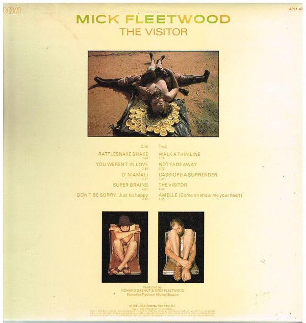 lataa albumi Mick Fleetwood - The Visitor