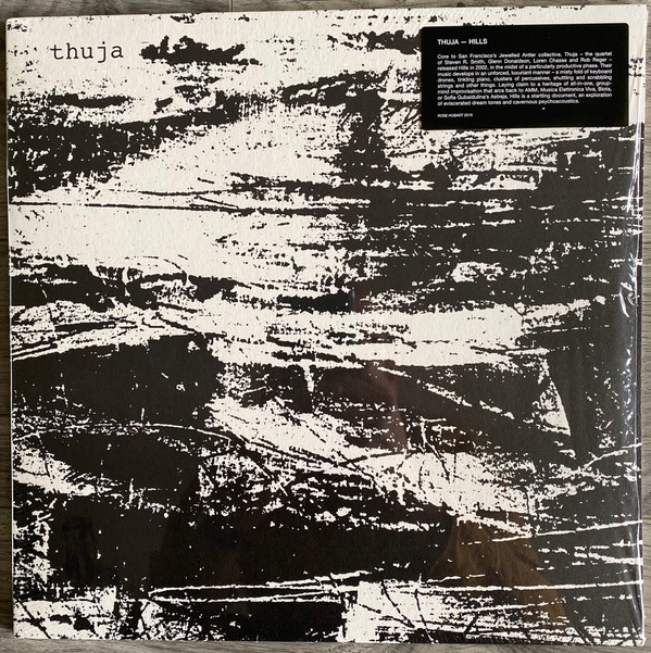 Thuja - Hills | Rose Hobart (ROSE002) - main